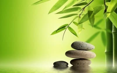 Si Persevera… Ud. Crecerá Inevitablemente, Como El Bambú Japonés