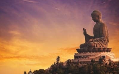 Buda y Su Libertad Financiera