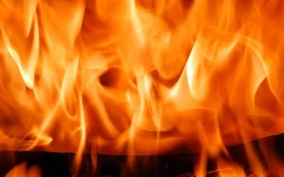 Descubre tu pasión, trabaja en ella, sé feliz