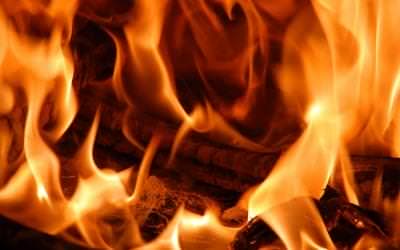 El combustible que te lleva al éxito es la pasión