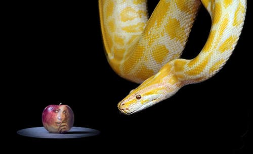 Mercadeo Global - Álvaro Mendoza