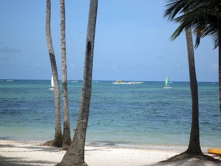 Mercadeo Global - Álvaro Mendoza