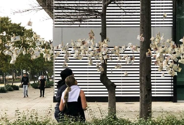 Si brotan billetes de los árboles, es marketing del bueno