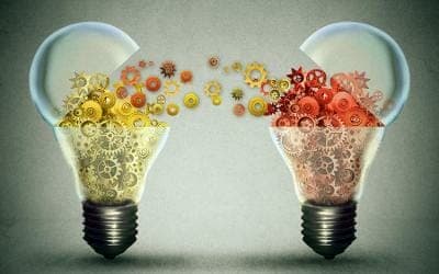 Las 4E – Exchange: el increíble intercambio de beneficios