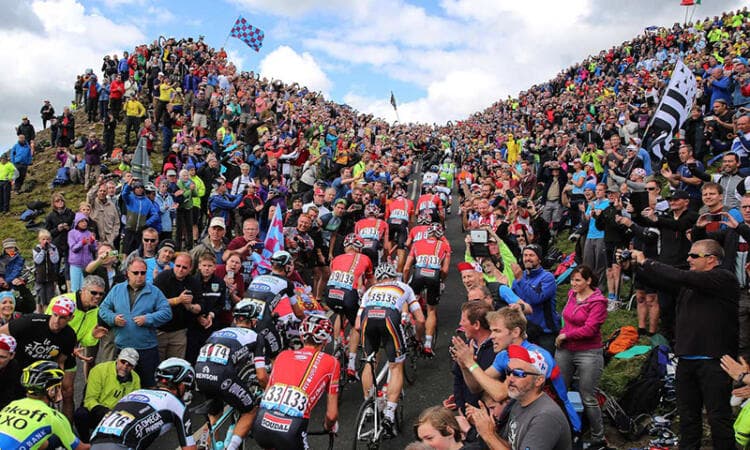 Mercadeo Global - Álvaro Mendoza