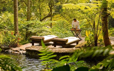 En marketing también aplica la ley de la selva