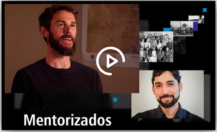 Mercadeo Global - Álvaro Mendoza