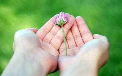 No pidas matrimonio en la primera cita (aplica para el marketing)