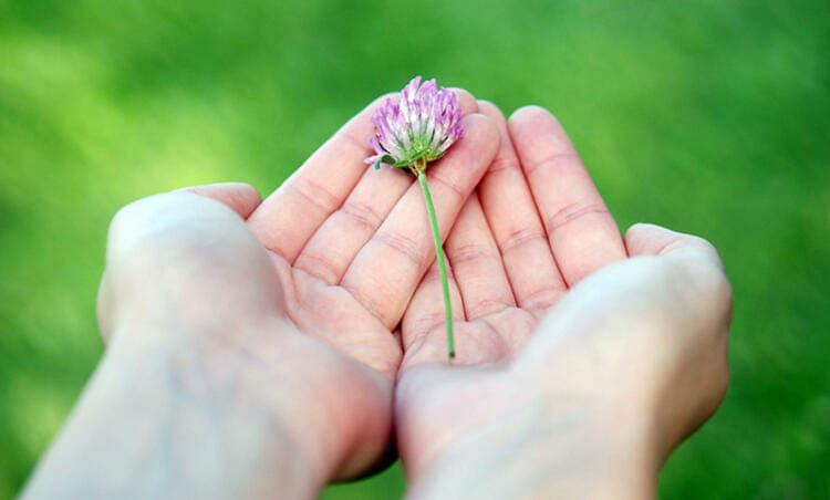 Mercadeo Global - Álvaro Mendoza