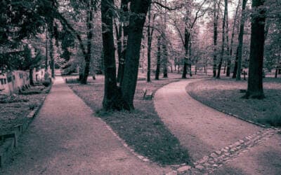 Y tú, ¿sabes bien cuál es el propósito de tu vida?