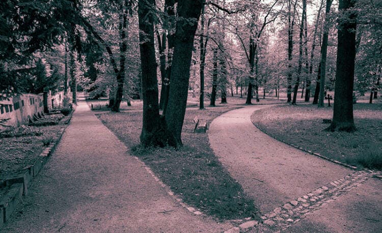 Y tú, ¿sabes bien cuál es el propósito de tu vida?