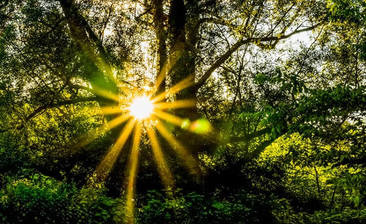 Mercadeo Global - Álvaro Mendoza