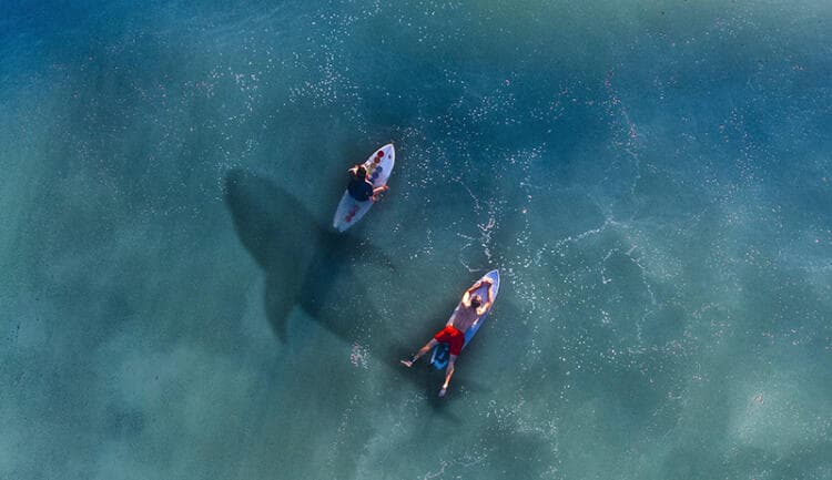 La gente no compra productos, sino soluciones a problemas internos, ¿lo sabías?