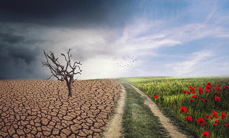 12+1 acciones efectivas para emprender cambios y ¡conseguirlos!