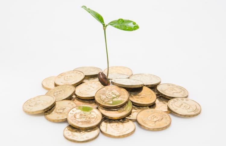 Cómo el círculo virtuoso de la vida evita la trampa de la autoestima inflada